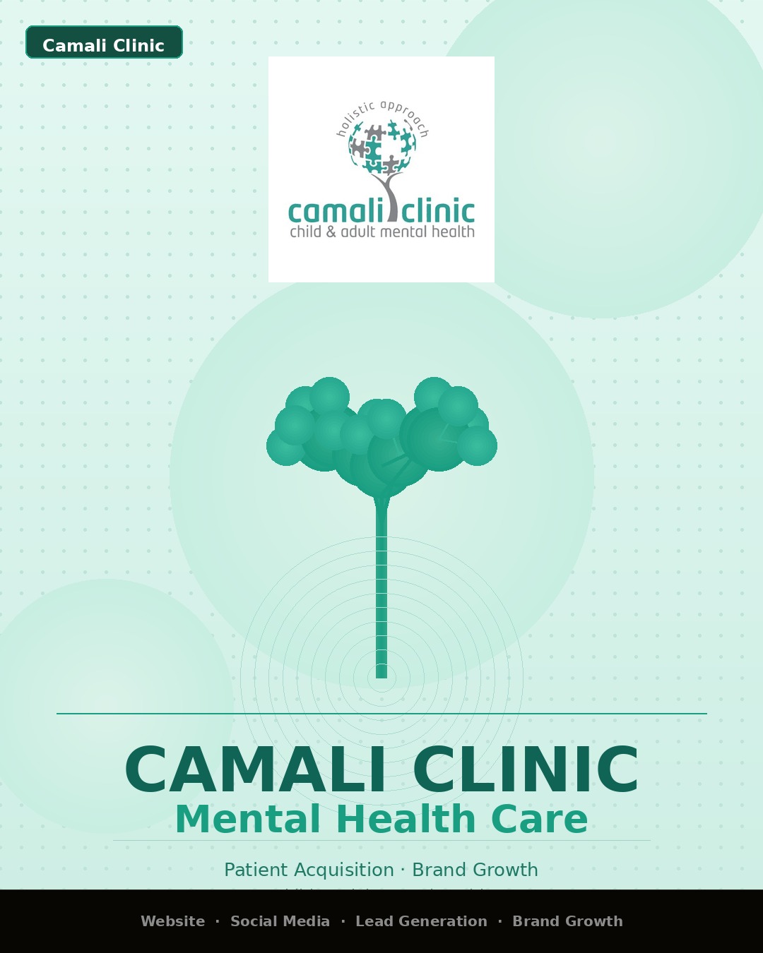 Camali Clinic project